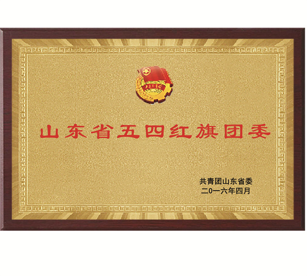 山東省五四紅旗團委